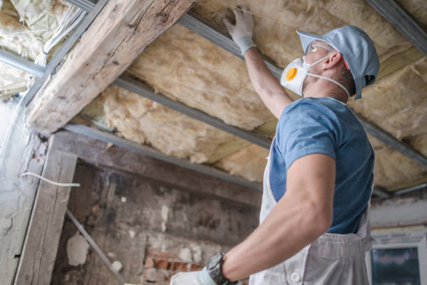 Best Cellulose Insulation  in Amity, OR
