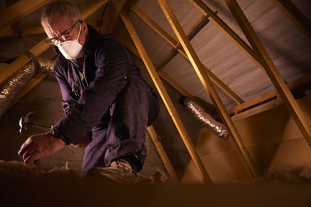 Best Insulation Removal  in Amity, OR
